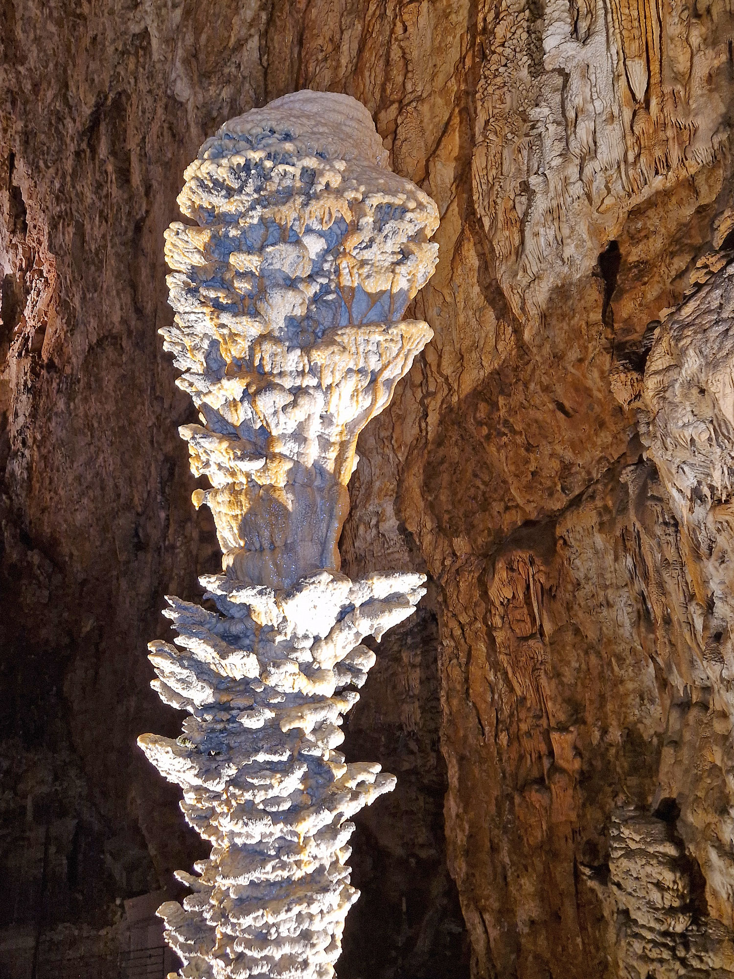 Triest Grotta Gigante Stalagmit